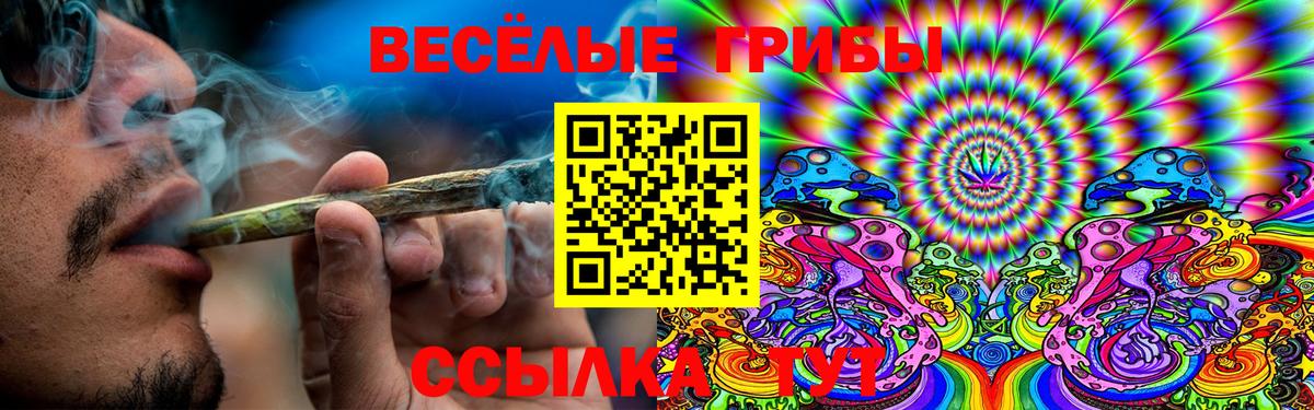 Галлюциногенные грибы Cubensis Артём